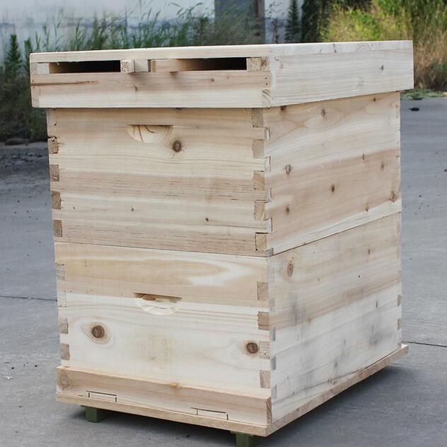 Beekeeping double layer higher fir wooden Beehive