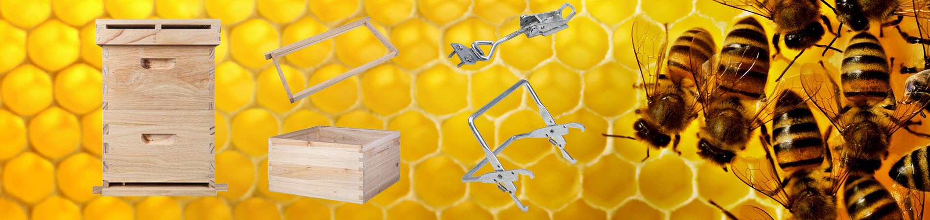 beekeeping supplies